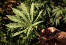 Logo Sciences et Avenir 1000x750