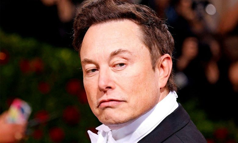 Elon Musk: crazy bird