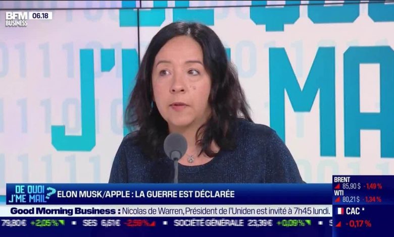 From What I Mail: Neuralink, Musk wants to plant his chips in the human brain (1/2) - April 12