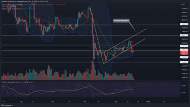 The price of bitcoin is falling! But will it continue? Answer here!
